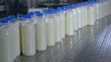 Mitä todella tekee maitoa? Kertoo miten erottaa väärennös