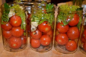 Marinoituja tomaatteja "Zadonsk" talveksi