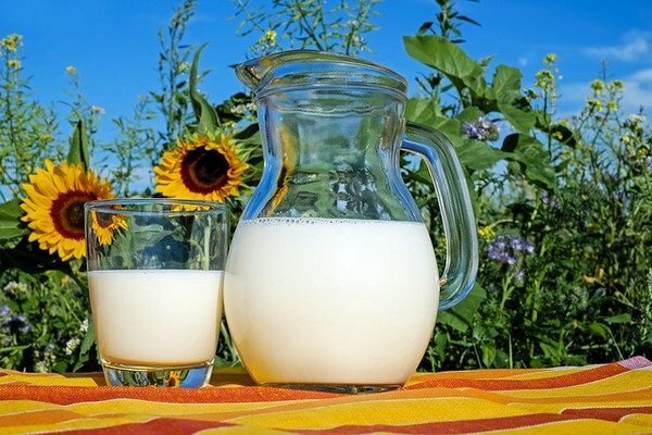 Parempi ostaa maitoa yksityisiltä tiloilta (Kuva: pixabay.com)