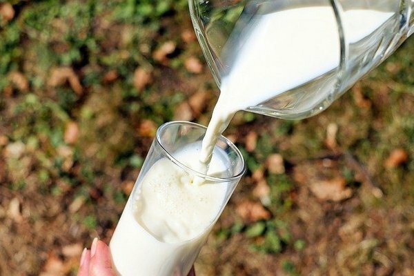 Mutta jos sinusta tuntuu epämiellyttäviä tunteita vatsassa tai suolistossa lasillisen maidon jälkeen, on parempi kieltäytyä fermentoitujen maitotuotteiden hyväksi (Kuva: Pixabay.com)