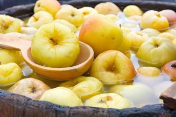 Miten valmistautua marinoitua omenaa - 3 retsepta
