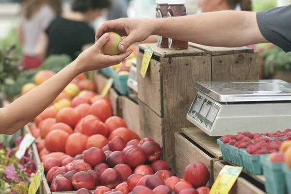 Yritä ostaa kausituotteita: mandariinit, omenat, ananas (Kuva: Pixabay.com)