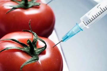 10 GMO-ruokaa, joita syömme, emmekä edes tiedä