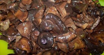 Kuinka oikein ja herkullisia marinoituja sieniä svinushki?